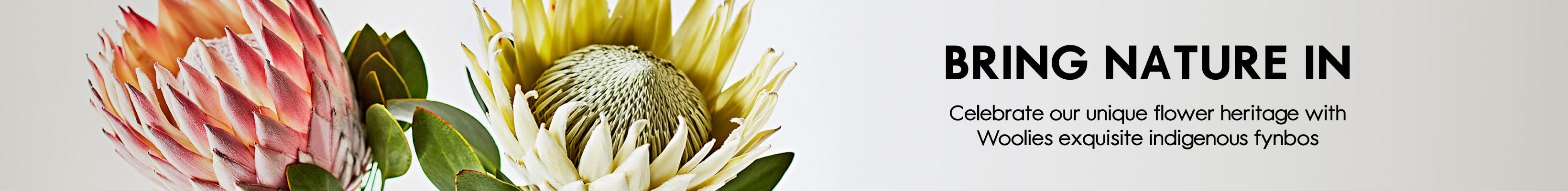 Listing Banner