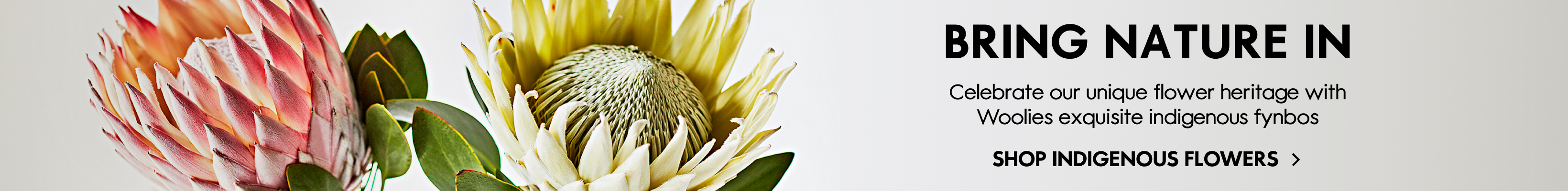 Listing Banner