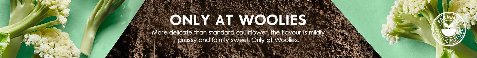 Listing Banner